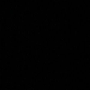 Meet your Posher, Mallory